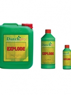 Dutch Pro Explode 250 ml