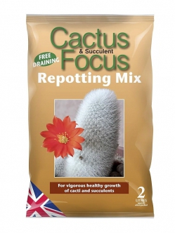 Cactus Focus Repotting Mix 2 l
