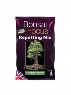 Bonsai Focus Repotting Mix 2 l