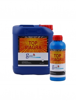 Geni Blossom Excelurator Top Viagra